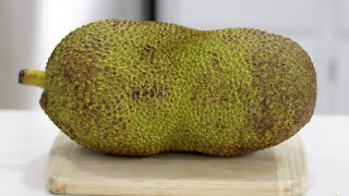 How to Eat Jackfruit  What does Jackfruit Taste like  Taste Test [upl. by Accire]