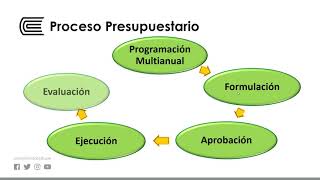 Proceso presupuestario [upl. by Aioj]