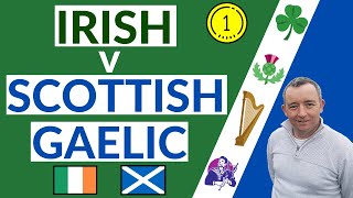 I Compare Irish amp Scottish Gaelic [upl. by Anahsohs]