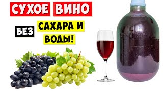 СУХОЕ ВИНО из ВИНОГРАДА без Сахара и Воды  Простой Рецепт [upl. by Anuayek294]