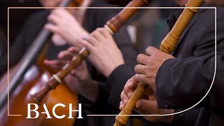 Bach  Sanfte soll mein Todeskummer from Easter Oratorio BWV 249  Netherlands Bach Society [upl. by Sou58]