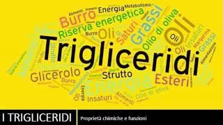 I trigliceridi [upl. by Ahsienet]