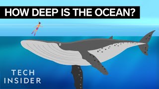 This Incredible Animation Shows How Deep The Ocean Really Is [upl. by Ariamo907]