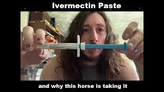 Ivermectin Horse Paste and why this horse is taking it [upl. by Aniretake]