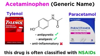 AcetaminophenParacetamol Tylenol [upl. by Ellerred]