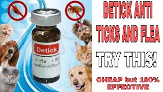 PAANO HOW TO APPLY DETICK ANTI TICKS amp FLEA for DOGS and CATS EffectivePangtanggalKutoSaAso [upl. by Ydnac]