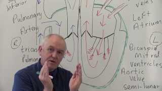 Cardiac MRI  Basics for Cardiology Fellows PART 1 [upl. by Baumbaugh]