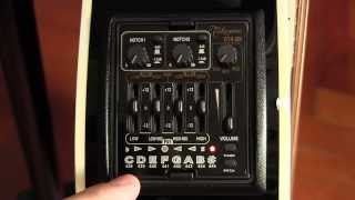 The Takamine CT4DX acoustic guitar preamp  review and user guide [upl. by Naitirb]