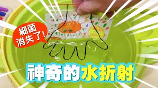 STEAM 科學小實驗｜多洗手細菌就會消失喔！神奇的折射實驗 [upl. by Nodroj]