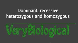 dominant recessive heterozygous and homozygous English [upl. by Joey]