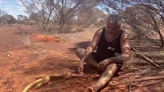 Aboriginal culture preparing goanna [upl. by Lebasy]