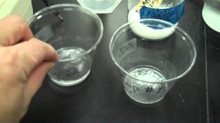 Sodium chloride in water [upl. by Onihc976]