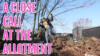 CLOSE CALL AT THE ALLOTMENT  ALLOTMENT GARDENING UK [upl. by Syla]