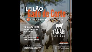 Tanabi Leilões  AO VIVO  19062024 [upl. by Wylde]