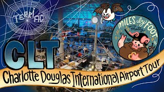 Charlotte Douglas International Airport  CLT  Complete Airport Tour [upl. by Leanne]