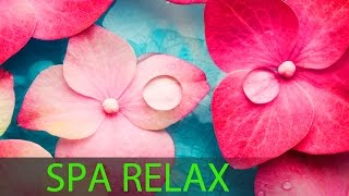 6 Hour Super Relaxing Spa Music Meditation Music Massage Music Relaxation Music Soothing ☯594 [upl. by Compton]