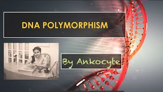 DNA Polymorphisms and its classifications [upl. by Brinna844]