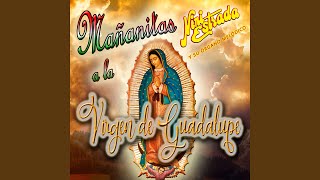 La Guadalupana [upl. by Oshinski]