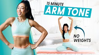 15 Minute Arm Burnout weightless upper body workout [upl. by Dittman]