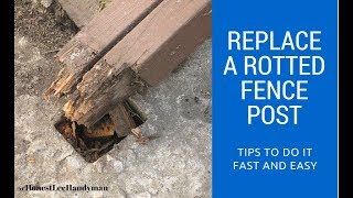 How to Replace a Rotted Fence Post  Handyman Business [upl. by Keeler]