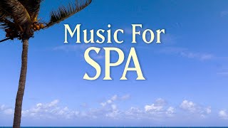 8 HOURS SPA MUSIC PLAYLIST  Healing Arts Massage amp Meditation  with Earth Resonance Frequency [upl. by Eittocs408]