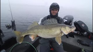 TOP 3 BIGGEST WALLEYES CAUGHT ON CAMERA compilation [upl. by Coral773]