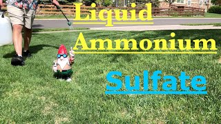 How to Apply Liquid Ammonium Sulfate to Your Yard [upl. by Lorraine]