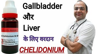 Chelidonium Fatty Liver  gall bladder stone  Jaundice [upl. by Cinamod]