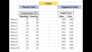 How to perform ttest in Excel [upl. by Mulry]