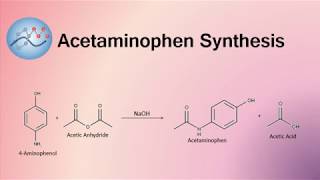 Acetaminophen Synthesis Mechanism  Organic Chemistry [upl. by Enyrehtac572]