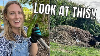 AN UNBELIEVABLY SUCCESSFUL DAY  ALLOTMENT GARDENING UK [upl. by Mikkanen]