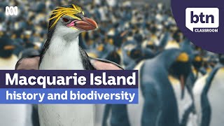 Macquarie Island Marine Park  Behind the News [upl. by Wershba]