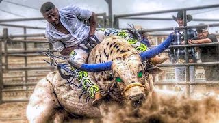 10 Most Dangerous Bulls of Rodeo History [upl. by Epilif47]