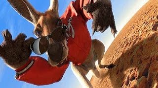 Kangaroo Jack II Teaser Trailer 1 [upl. by Beore49]