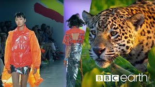 Can Fashion Be Sustainable  BBC Earth [upl. by Zanlog]