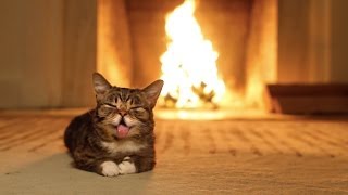 Lil BUBs Magical Yule LOG Video [upl. by Fabian]