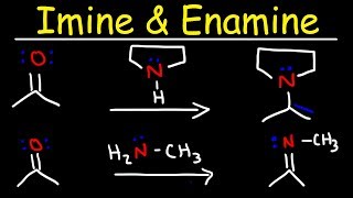 Imine and Enamine Formation Reactions With Reductive Amination [upl. by Ewart]