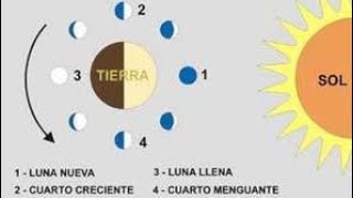 Las fases de la luna  Ciencias Naturales [upl. by Naliorf]