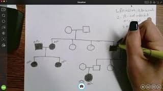 Genotypes and pedigrees [upl. by Woehick]