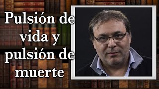 Gabriel Rolón  Pulsión de vida y pulsión de muerte [upl. by Oiramat149]