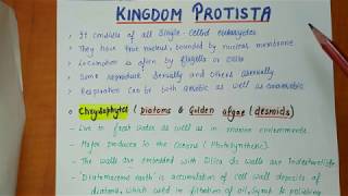 Class 11th  Kingdom protista  Biological Classification Part2  Chapter2 NOTES [upl. by Phippen370]