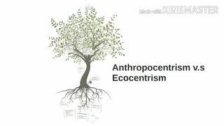 Ecocentrism amp Anthropocentrism [upl. by Aihsrop]