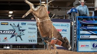 Future World Champion Bulls 🤔 Bucking Bulls Before They Get Ridden [upl. by Ciapas]