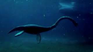 Nessie  Plesiosaur Sounds [upl. by Quarta]