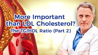 ► What Is VLDL Cholesterol   by Dr Sam Robbins [upl. by Fablan]