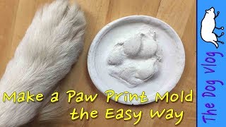 Make a Paw Print Mold  the Easy Way [upl. by Leticia]