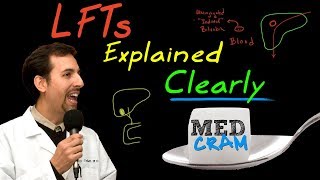 Liver Function Tests LFTs Explained Clearly by MedCramcom [upl. by Anabelle323]