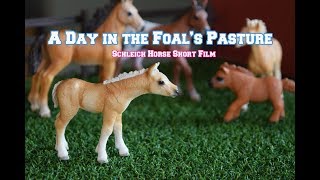 A Day in the Foals Pasture  Schleich Horse Short Film [upl. by Rosen]