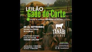 Tanabi Leilões  AO VIVO  25092024 [upl. by Hanahsuar12]