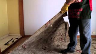 How To Remove Carpet  DIY At Bunnings [upl. by Holder]